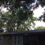 2014-08-02 13.58.14