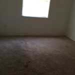 2014-09-01 10.19.14