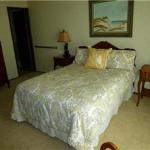 Large master bedroom with walk in closet and private bath.