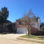 2014-11-19 11.49.32