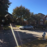 2014-11-23 13.14.51