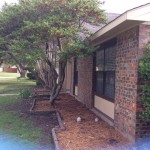2015-04-08 09.38.22
