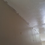 2015-06-18 09.45.11