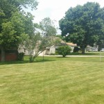 20150612_132839 (1024x768)