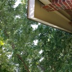 2015-06-26 10.41.42