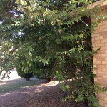 2015-10-07 11.32.25